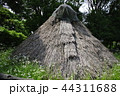 縄文時代・真裏からの竪穴住居 44311688