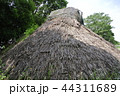縄文時代・左横からの竪穴住居 44311689