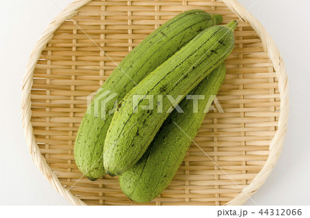 ヘチマ ヘチマ 44312066
