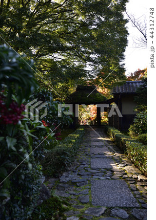 安楽寺　山門 44312748