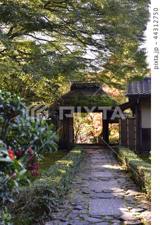 安楽寺　山門 44312750