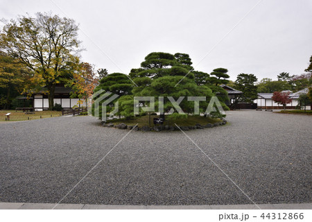 京都御苑　閑院宮邸跡 44312866