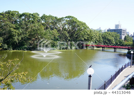 天王寺公園 天王寺公園 44313046