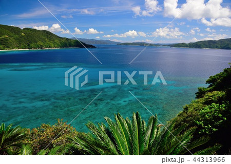 ＜奄美大島＞　管鈍の美しい秋の海景色 2 44313966