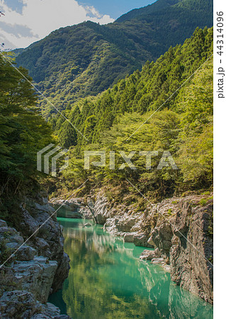 祖谷渓 祖谷渓 44314096
