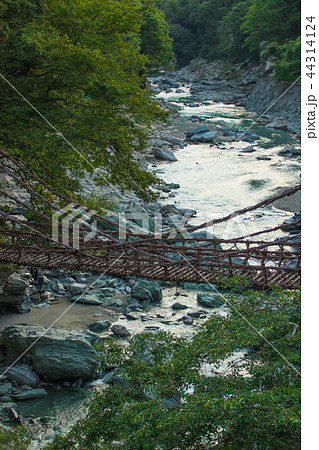 祖谷渓のかずら橋 祖谷渓のかずら橋 44314124