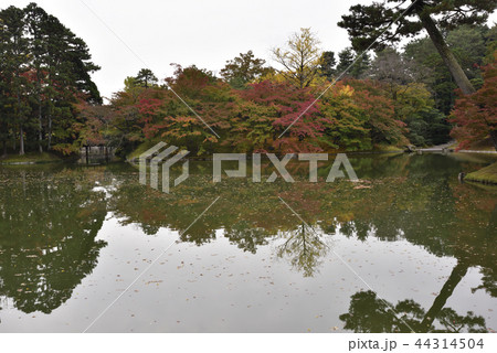 仙洞御所 北池 女院御所の池 仙洞御所 北池 女院御所の池 44314504