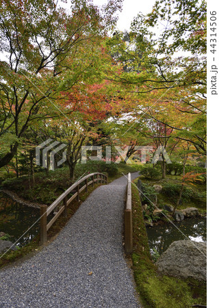 仙洞御所　北池　女院御所の池 44314506