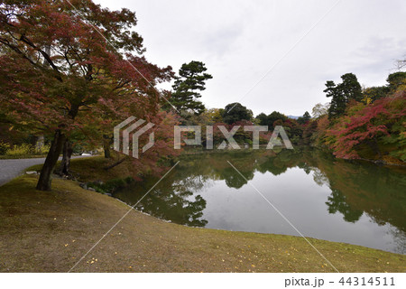 仙洞御所 北池 女院御所の池 仙洞御所 北池 女院御所の池 44314511