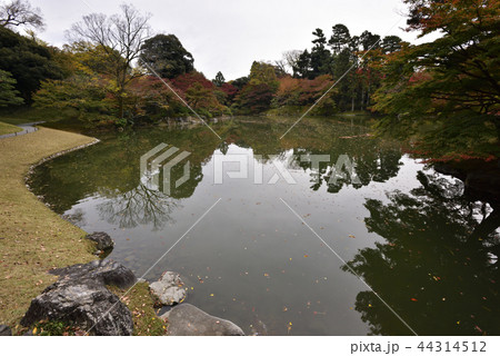 仙洞御所 北池 女院御所の池 仙洞御所 北池 女院御所の池 44314512