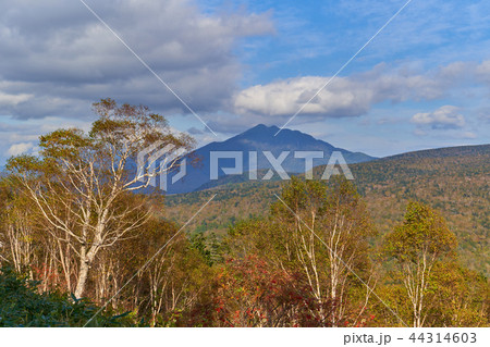 秋の尾瀬 至仏山登坂中の北東側(燧ヶ岳方面)眺望 秋の尾瀬 至仏山登坂中の北東側(燧ヶ岳方面)眺望 44314603