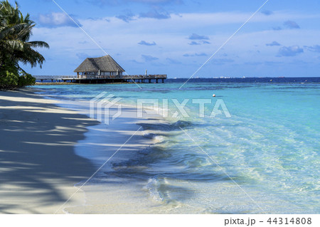 インド洋の美しいサンゴ礁の海 44314808