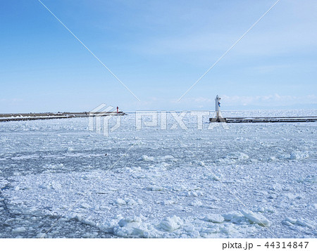厳冬の北海道・流氷 厳冬の北海道・流氷 44314847