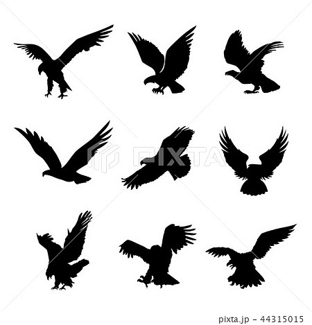 Eagle Falcon Bird Hawk Animal Black Icon Vectorのイラスト素材