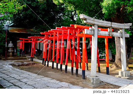 阿那稲荷神社(品川神社) 阿那稲荷神社(品川神社) 44315025