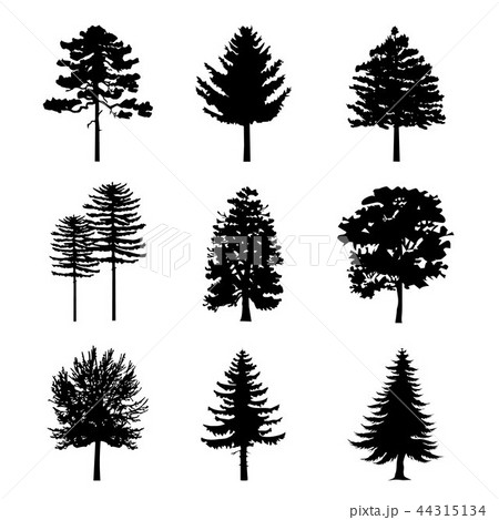 Tree Black Silhouettes Nature Forest Vector 44315134