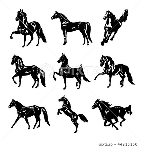 Horse Animal Silhouette Black Vector Horse Animal Silhouette Black Vector 44315150