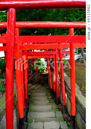 阿那稲荷神社 上社から下社への階段(品川神社) 阿那稲荷神社 上社から下社への階段(品川神社) 44315662
