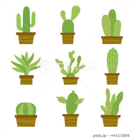 Cactus Icon Element Plants Pot Flower Vector 44315806
