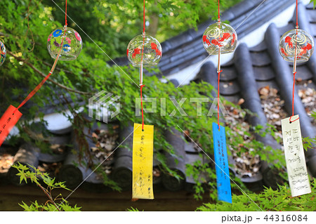 如意輪寺の風鈴まつり 44316084