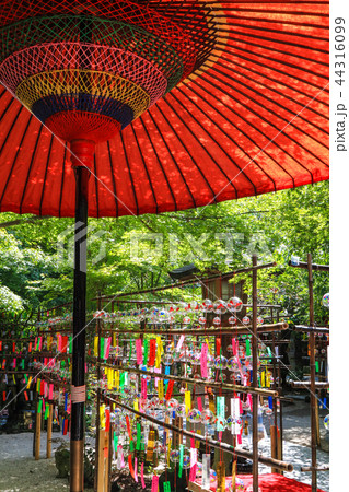 如意輪寺の風鈴まつり 44316099