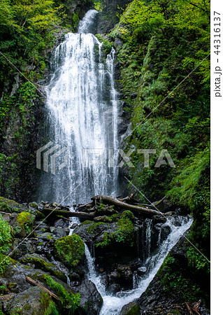 回顧（みかえり）の滝　秋田県 44316137