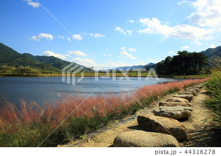 ノン 野原 電源 44316278