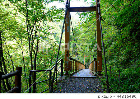 抱返り渓谷 秋田県 抱返り渓谷 秋田県 44316490