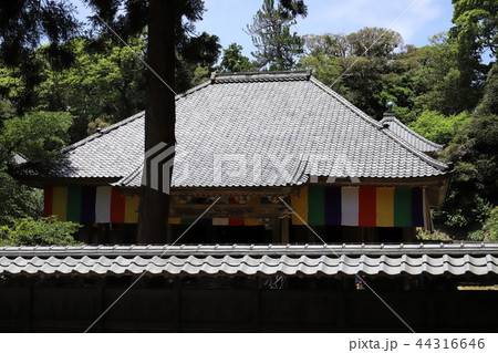 瀧谷寺 観音堂（福井県 坂井市 三国町） 44316646