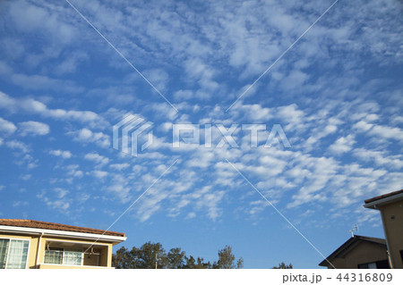 秋の空 秋の空 44316809