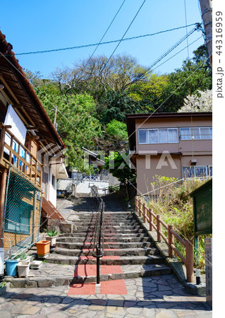 [東京都] 伊豆大島の波浮港 44316959