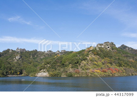 大分 大分 44317099