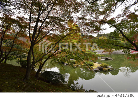 仙洞御所 南池 紅葉 仙洞御所 南池 紅葉 44317286