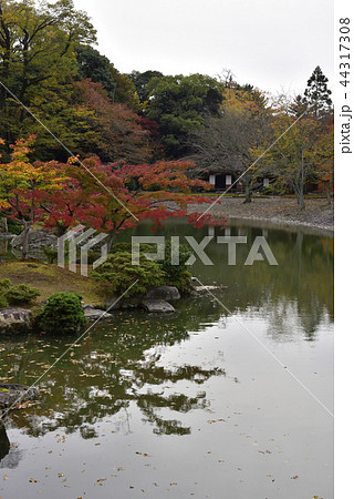 仙洞御所　南池　紅葉 44317308