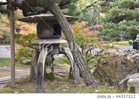 仙洞御所 南池 紅葉 仙洞御所 南池 紅葉 44317311