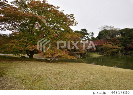 仙洞御所 南池 紅葉 仙洞御所 南池 紅葉 44317330