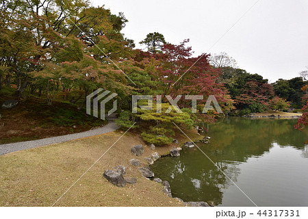 仙洞御所　南池　紅葉 44317331