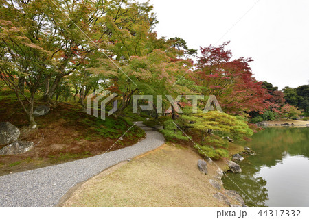 仙洞御所 南池 紅葉 仙洞御所 南池 紅葉 44317332