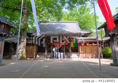 等々力不動尊 本堂 44318083