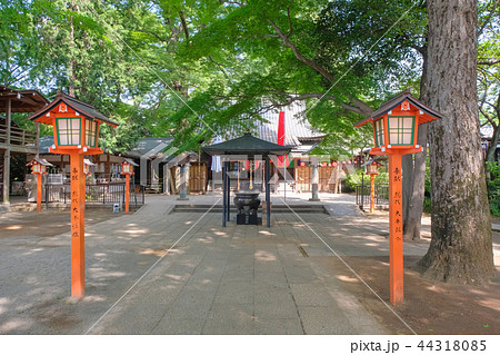 等々力不動尊 等々力不動尊 44318085