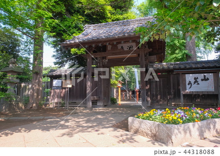 等々力不動尊 山門 44318088