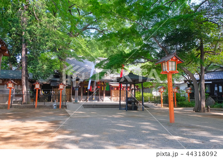 等々力不動尊 境内 等々力不動尊 境内 44318092