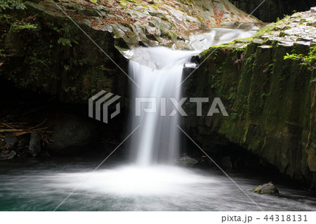 静岡県 河津町 河津七滝 蛇滝 静岡県 河津町 河津七滝 蛇滝 44318131