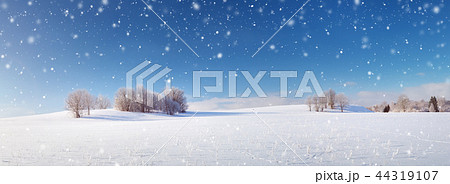 Beautiful trees in winter landscape in early morning 44319107