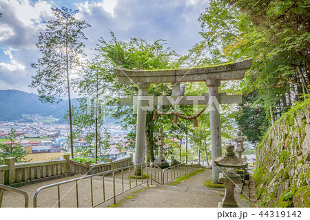 気多若宮神社 鳥居 44319142