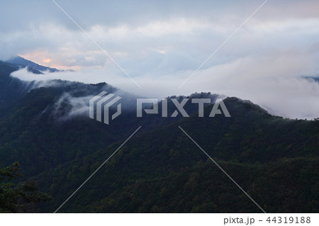 【新潟県】枝折峠(国道352号線)から見る風景(滝雲・雲海) 【新潟県】枝折峠(国道352号線)から見る風景(滝雲・雲海) 44319188