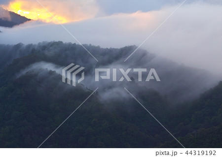 【新潟県】枝折峠（国道352号線）から見る風景（滝雲・雲海） 44319192