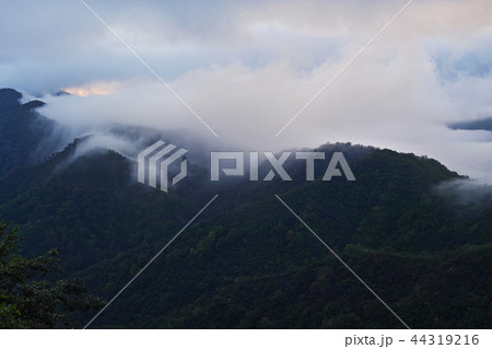 【新潟県】枝折峠(国道352号線)から見る風景(滝雲・雲海) 【新潟県】枝折峠(国道352号線)から見る風景(滝雲・雲海) 44319216
