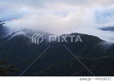 【新潟県】枝折峠(国道352号線)から見る風景(滝雲・雲海) 【新潟県】枝折峠(国道352号線)から見る風景(滝雲・雲海) 44319217