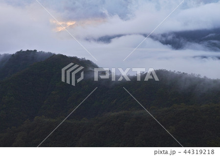 【新潟県】枝折峠(国道352号線)から見る風景(滝雲・雲海) 【新潟県】枝折峠(国道352号線)から見る風景(滝雲・雲海) 44319218